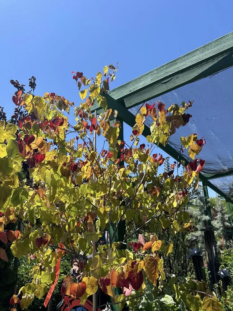 Professional lawn care service for residential properties across Reno, NV - Old Stone House Gift and Garden