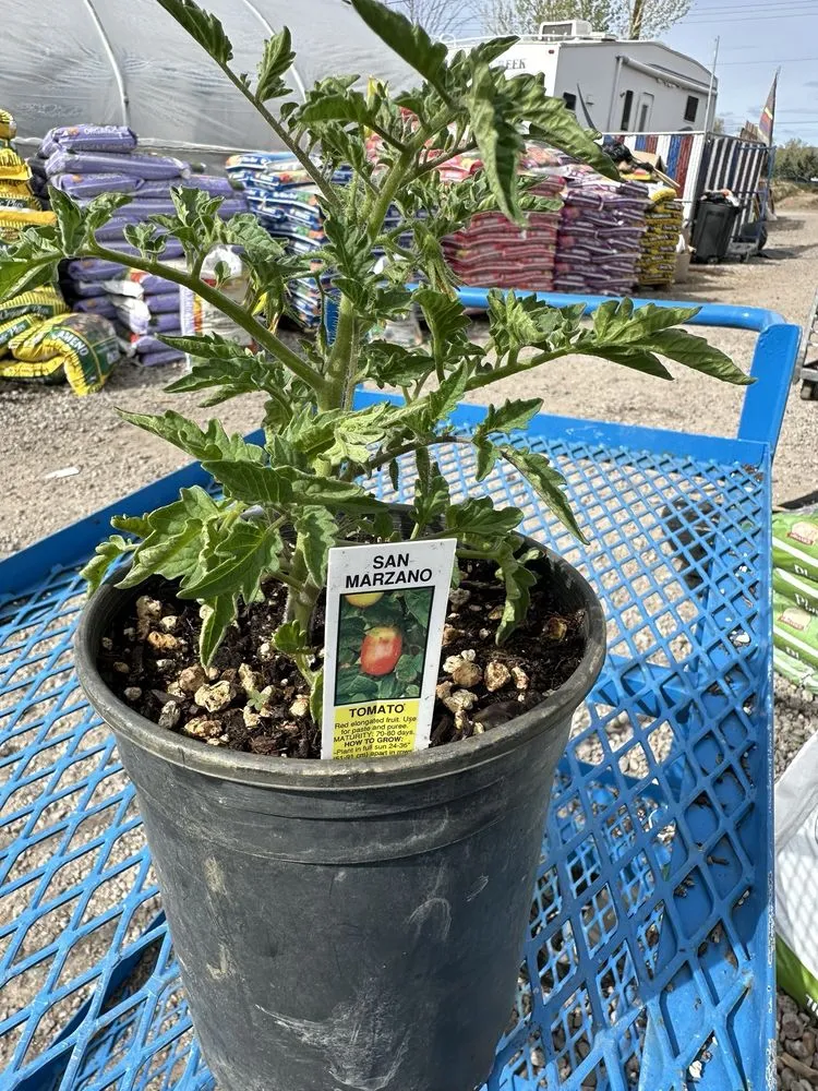 Custom lawn care service in Reno, NV by Old Stone House Gift and Garden