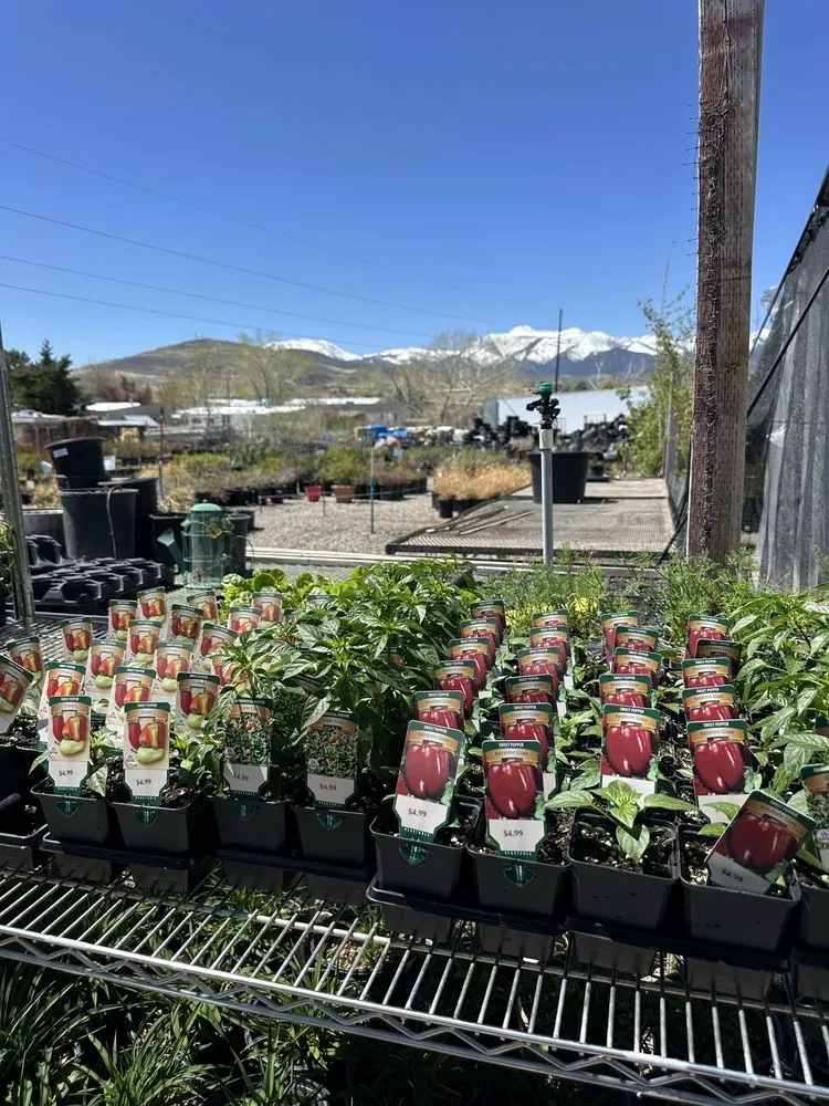 Reliable lawn mowing service in Reno, NV - Old Stone House Gift and Garden