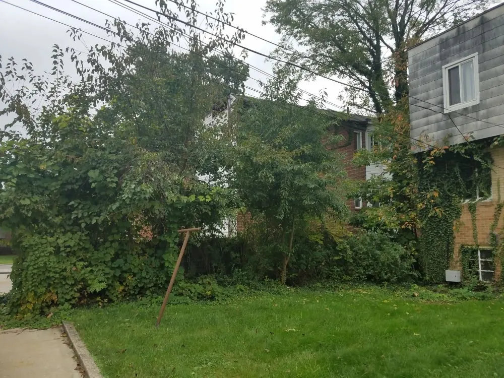 Affordable lawn care service in Toledo, OH by Old Style Services