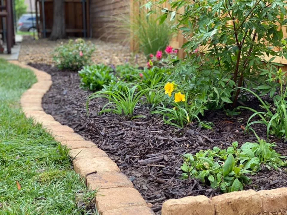 Trusted yard cleanup service in Amarillo, TX by Old Texas Outdoors