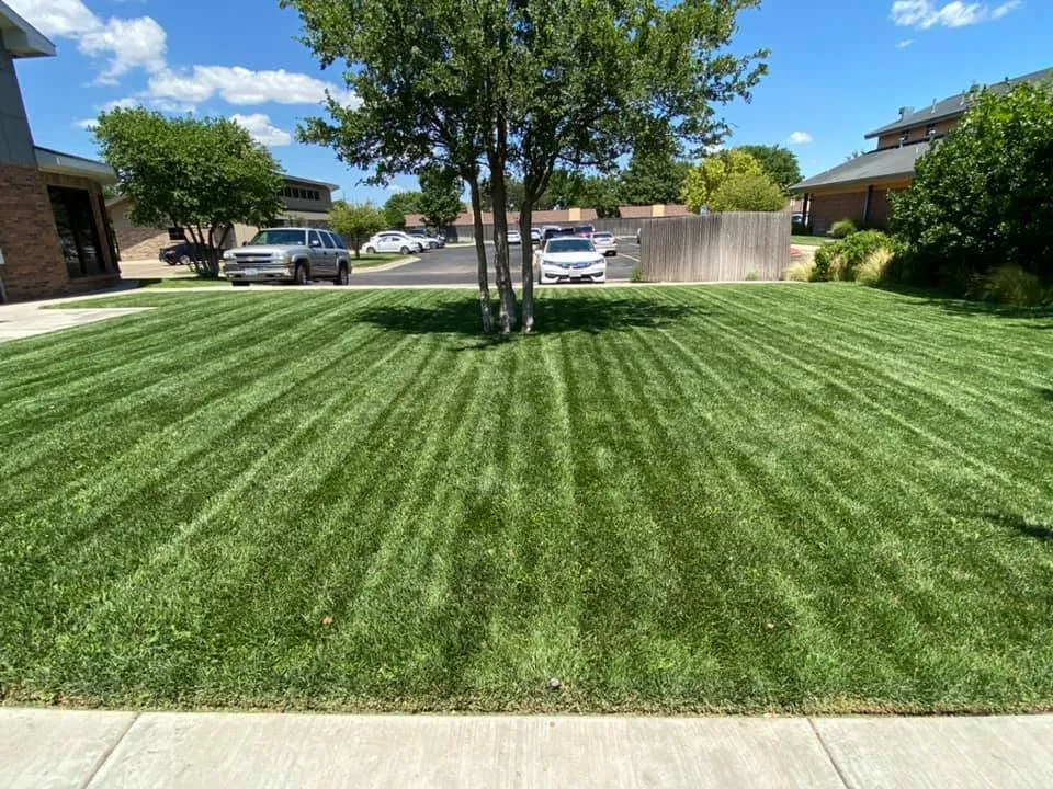Local residential landscaping for beautiful yards across Amarillo, TX - Old Texas Outdoors