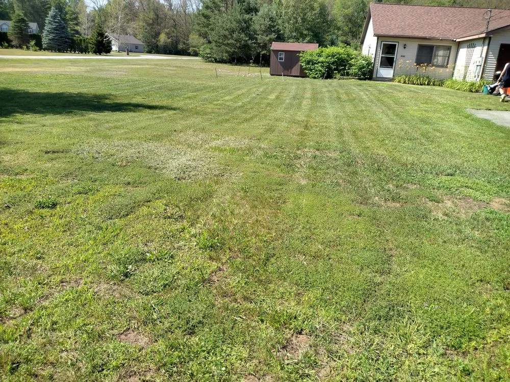 Professional yard cleanup service in Ballston Spa, NY - Old Time Lawn Care