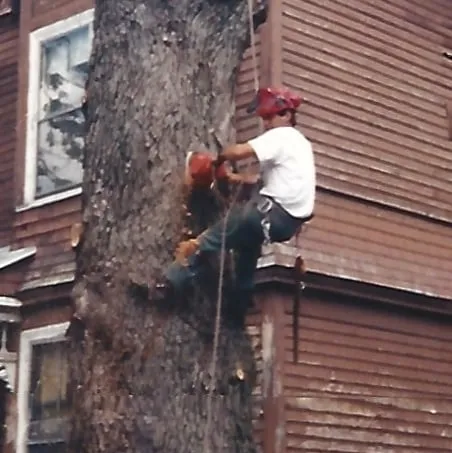 Professional outdoor landscaping experts serving Wrentham, MA - Old Time Tree Cutter