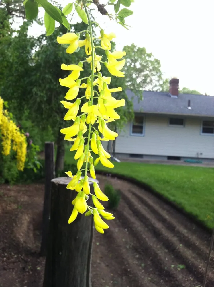 Reliable landscaping services near you in Wrentham, MA by Old Time Tree Cutter