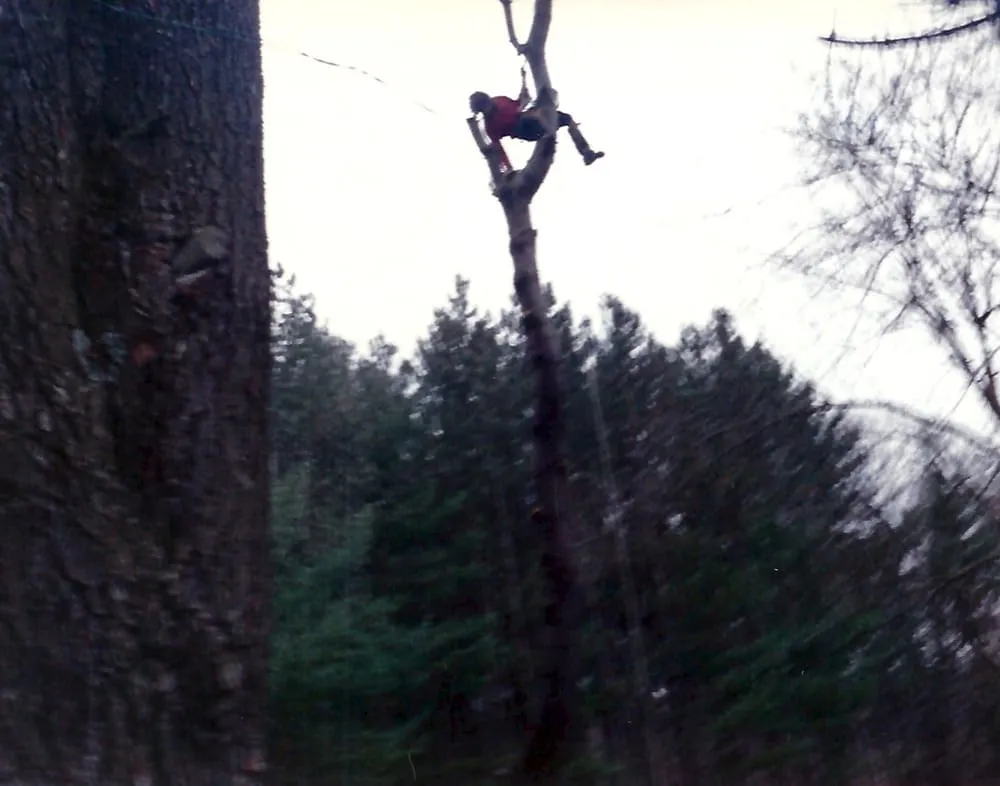 Top-rated lawn care service for residential properties in Wrentham, MA by Old Time Tree Cutter