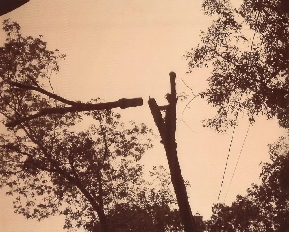 Reliable lawn care service for residential properties in Wrentham, MA by Old Time Tree Cutter