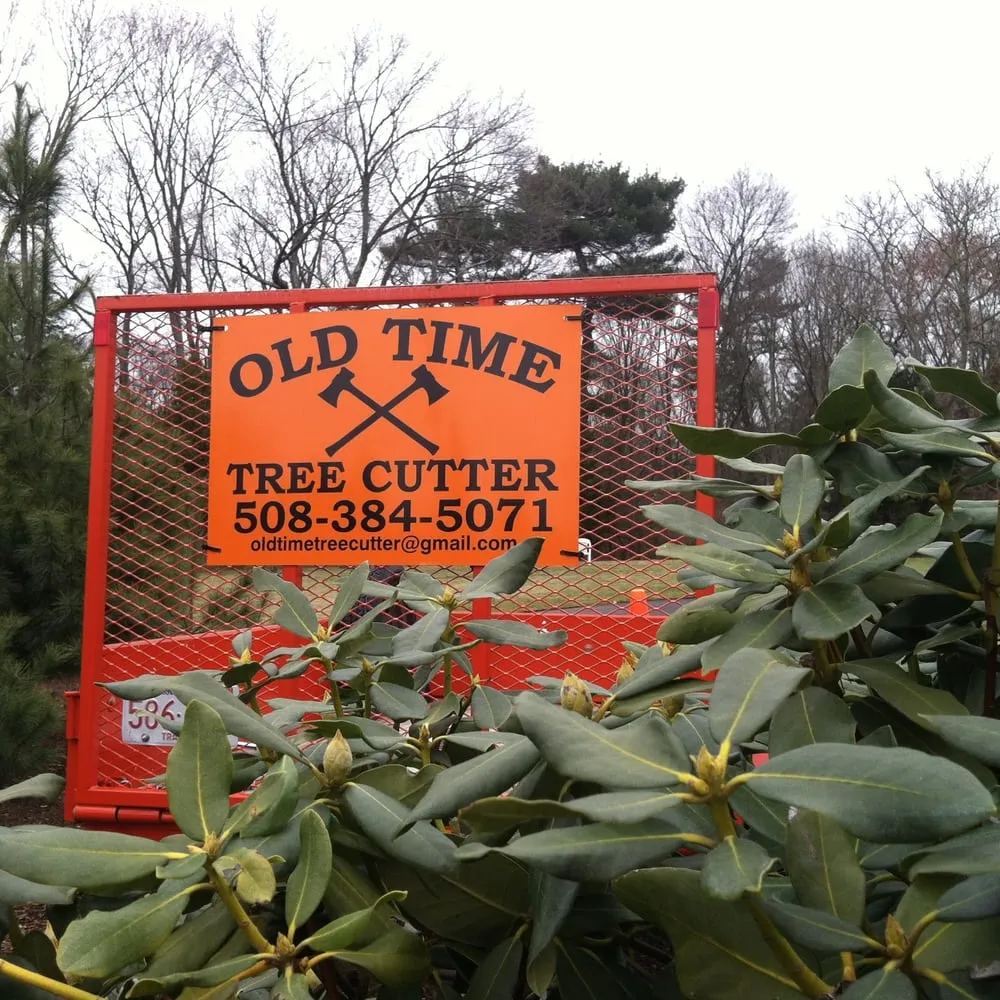 Trusted yard maintenance for residential properties across Wrentham, MA - Old Time Tree Cutter