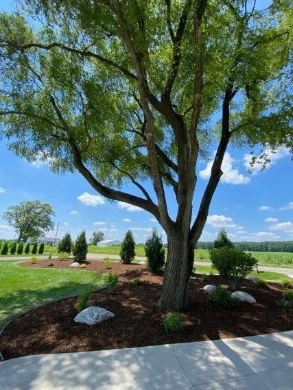 Professional landscaping services for beautiful yards in Monroe, MI by Old Town Landscape