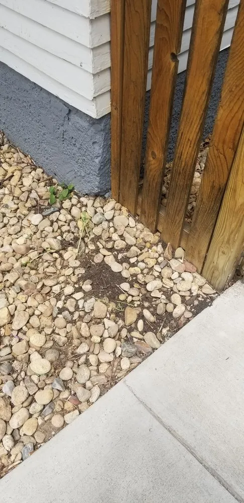 Reliable outdoor landscaping with custom design in Wellington, CO by Old Town Landscape