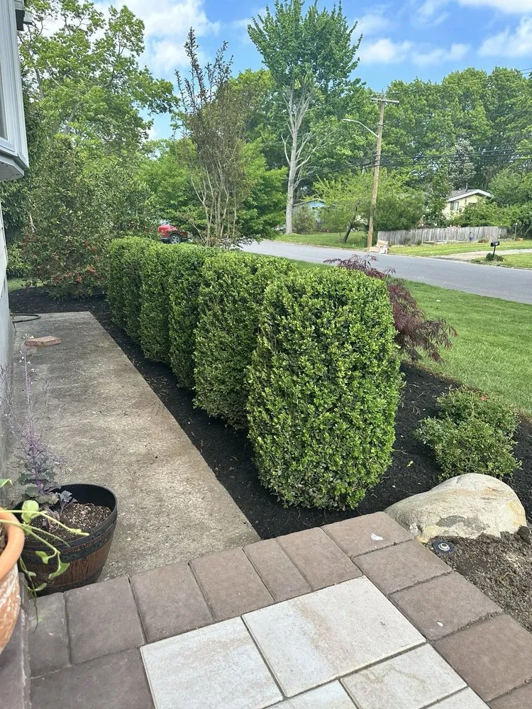 Local yard cleanup service in Stony Brook, NY by Old Town Landscaping & Design