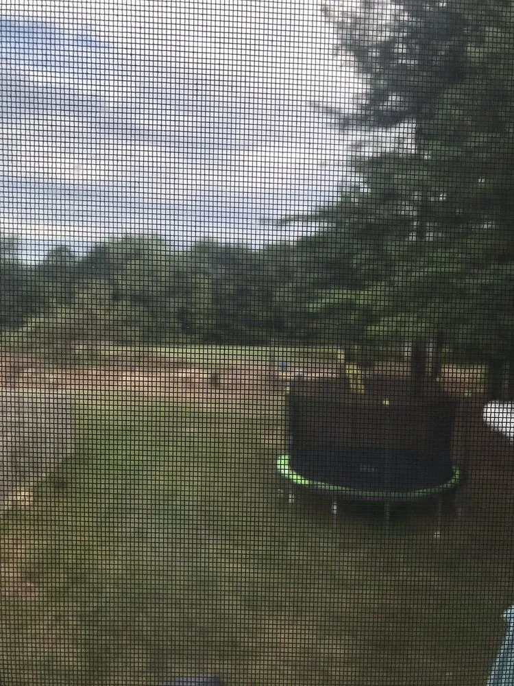 Reliable landscape design for outdoor upgrades in Winchester, VA by Old Town Tree and Landscaping