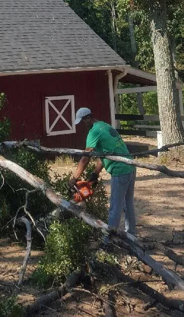 Reliable lawn care service with custom design in Winchester, VA by Old Town Tree and Landscaping