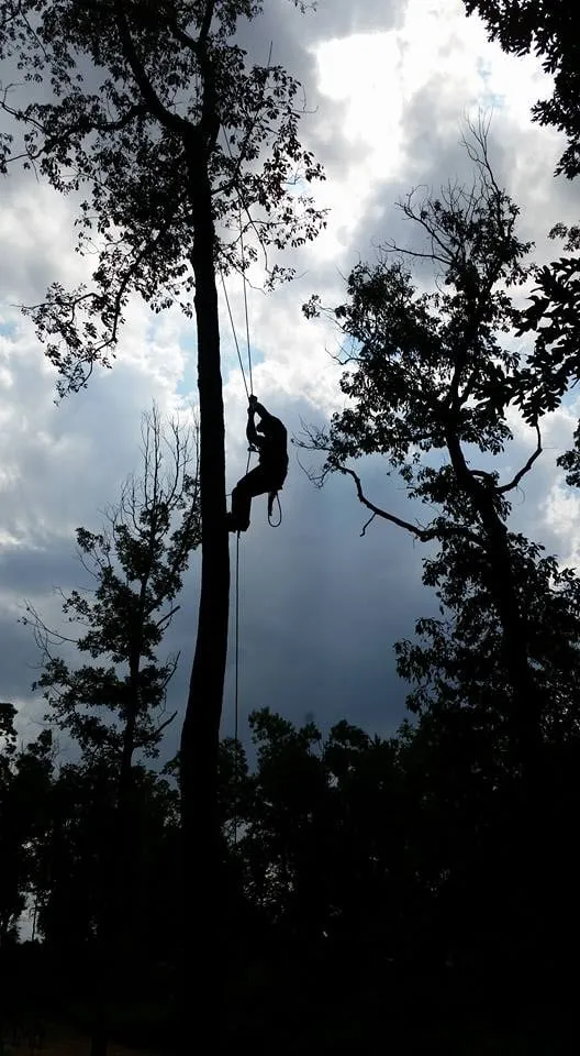 Professional yard cleanup service for homes across Winchester, VA - Old Town Tree and Landscaping