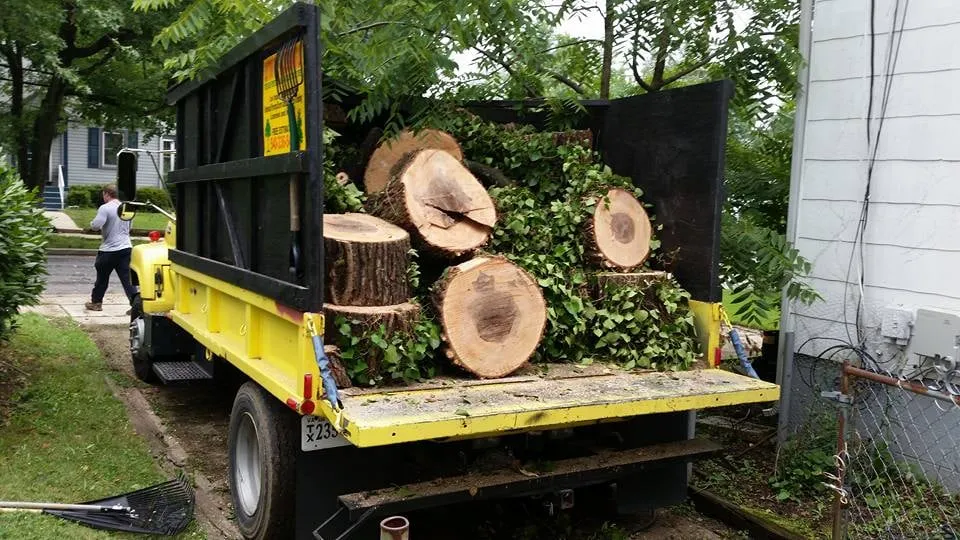 Affordable outdoor landscaping experts serving Winchester, VA - Old Town Tree and Landscaping