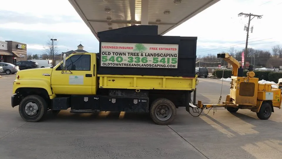 Top-rated outdoor landscaping in Winchester, VA - Old Town Tree and Landscaping