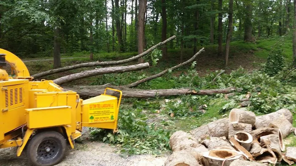 Local lawn mowing service for year-round maintenance across Winchester, VA - Old Town Tree and Landscaping