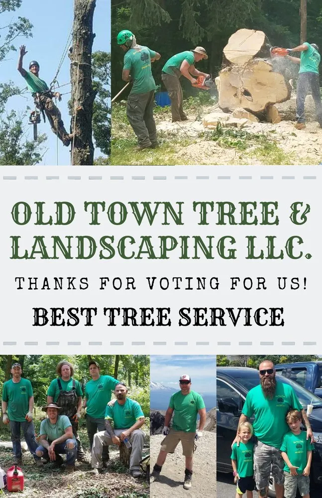 Affordable lawn care service in Winchester, VA - Old Town Tree and Landscaping