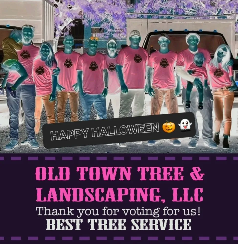 Professional landscape installation in Winchester, VA - Old Town Tree and Landscaping