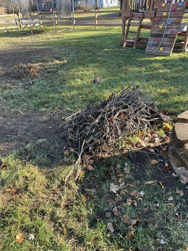 Reliable yard cleanup service in Winchester, VA - Old Town Tree and Landscaping
