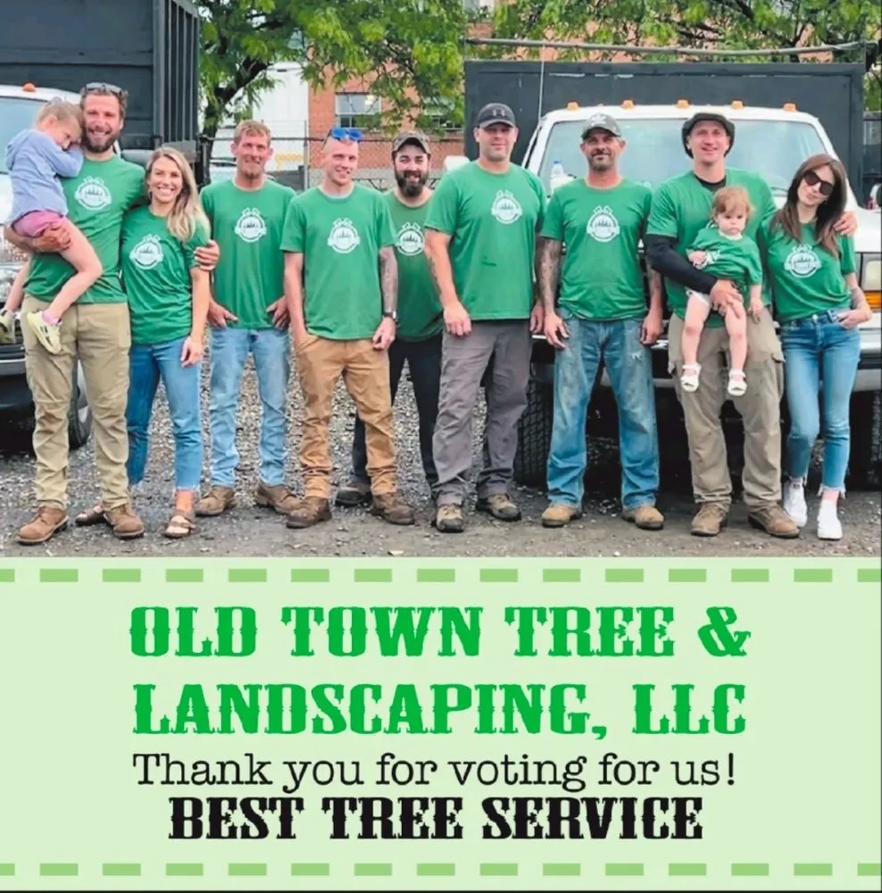 Top-rated lawn care service near you across Winchester, VA - Old Town Tree and Landscaping