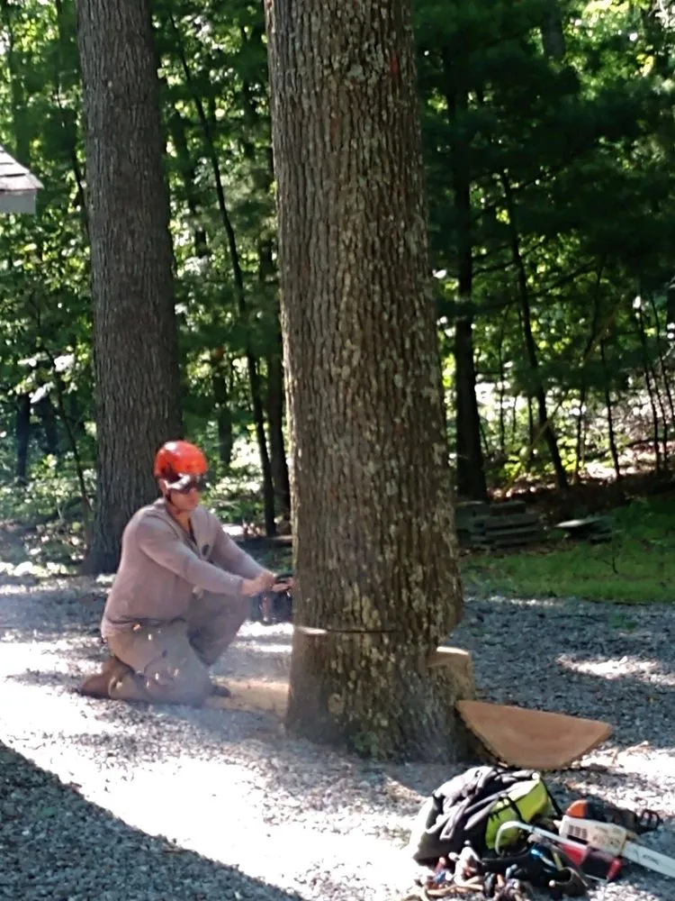 Local lawn care service in Winchester, VA - Old Town Tree and Landscaping