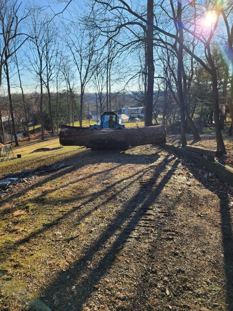 Expert yard maintenance experts serving Winchester, VA - Old Town Tree and Landscaping