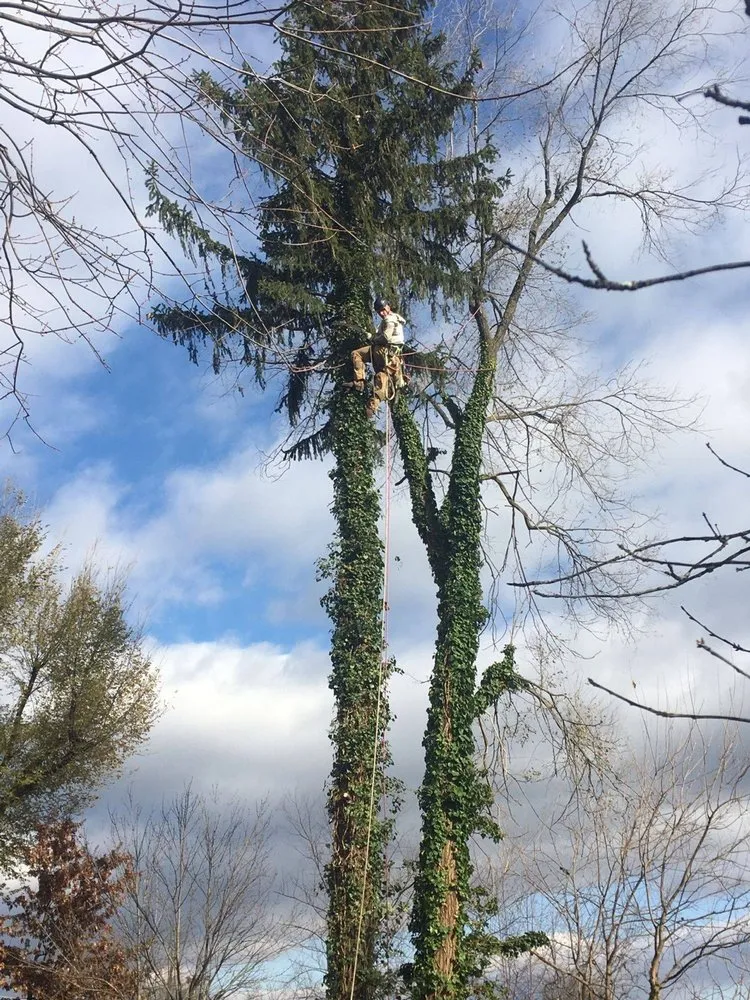 Trusted outdoor landscaping near you in Winchester, VA by Old Town Tree and Landscaping