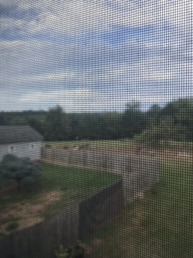 Trusted yard cleanup service for homes in Winchester, VA by Old Town Tree and Landscaping