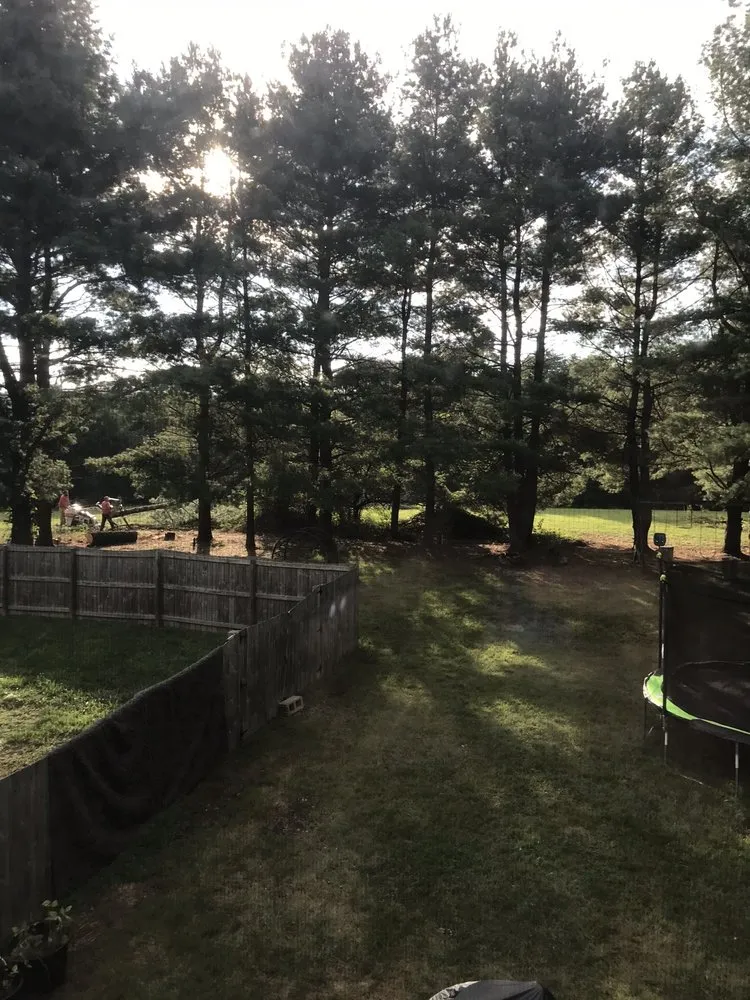 Top-rated landscape design for beautiful yards across Winchester, VA - Old Town Tree and Landscaping