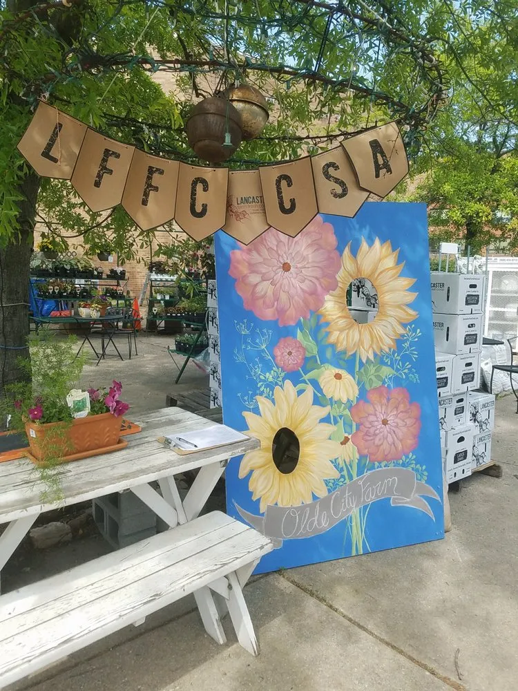 Affordable landscape installation for year-round maintenance in Washington DC, DC by Olde City Garden