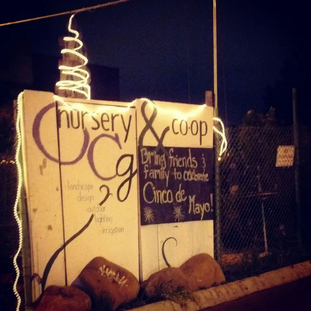 Professional residential landscaping experts serving Washington DC, DC - Olde City Garden