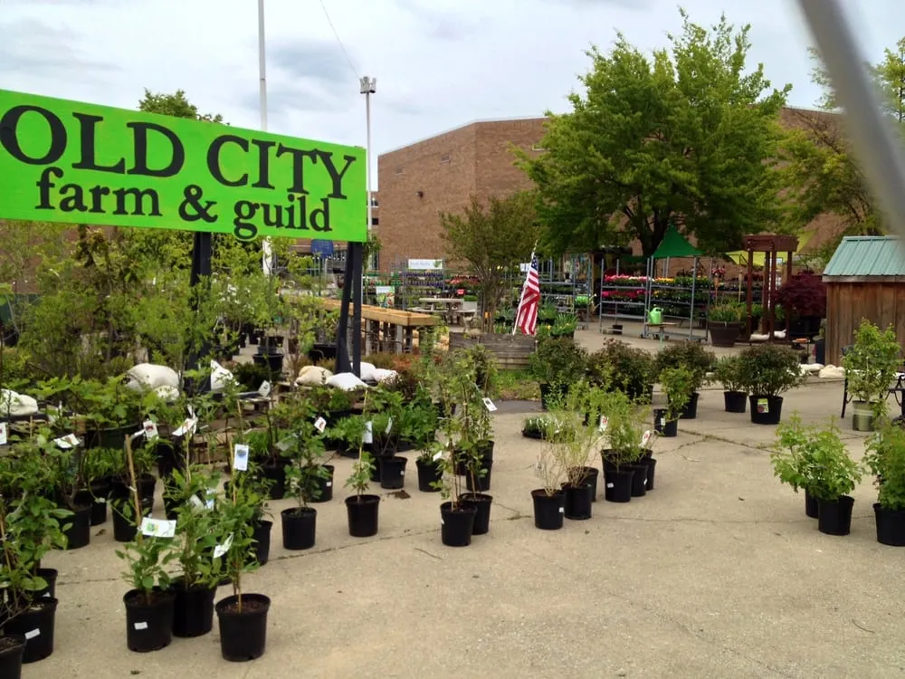 Custom residential landscaping near you across Washington DC, DC - Olde City Garden