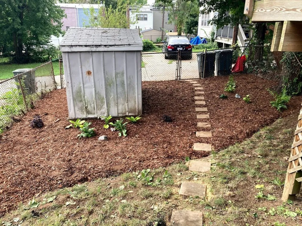 Expert landscape design for year-round maintenance across Washington DC, DC - Olde City Garden