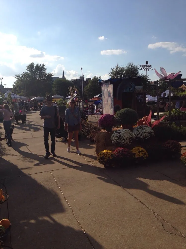 Custom landscaping services for year-round maintenance in Washington DC, DC by Olde City Garden