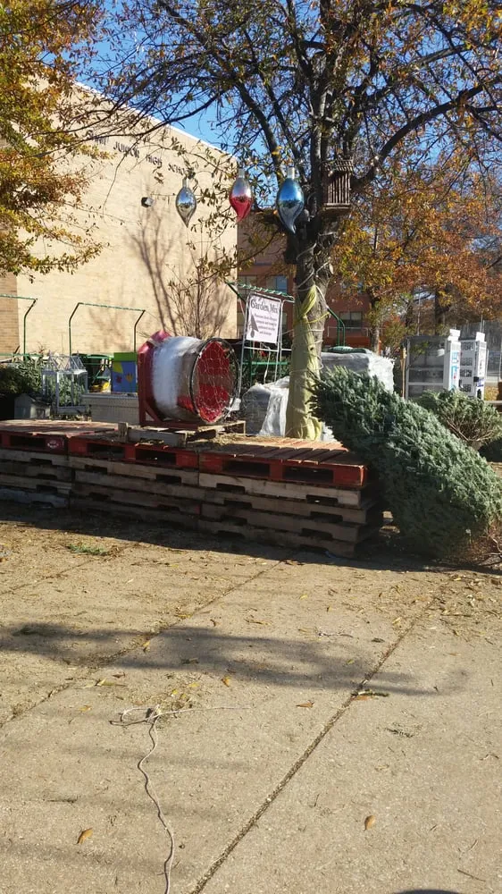 Trusted outdoor landscaping for outdoor upgrades across Washington DC, DC - Olde City Garden