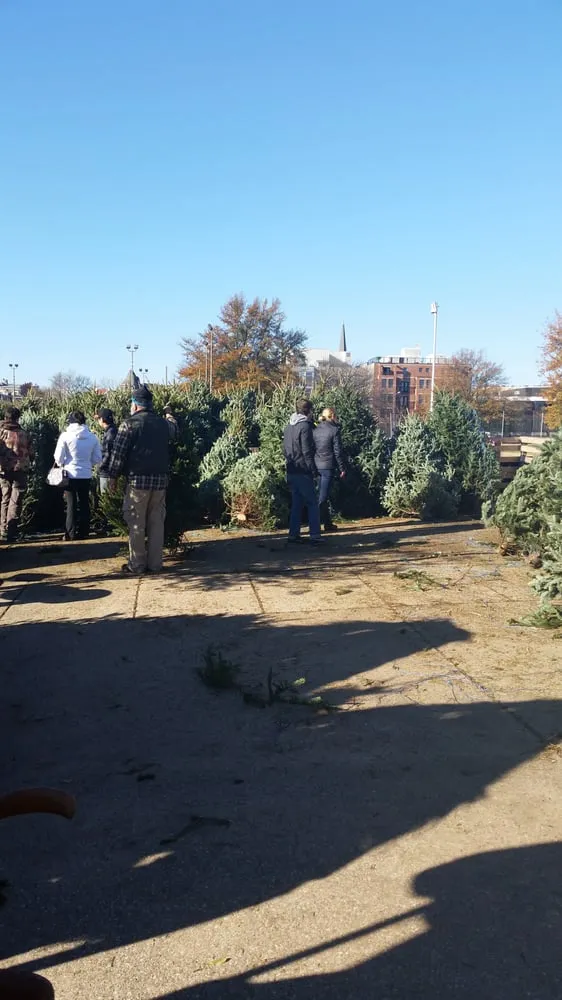 Professional lawn mowing service in Washington DC, DC - Olde City Garden