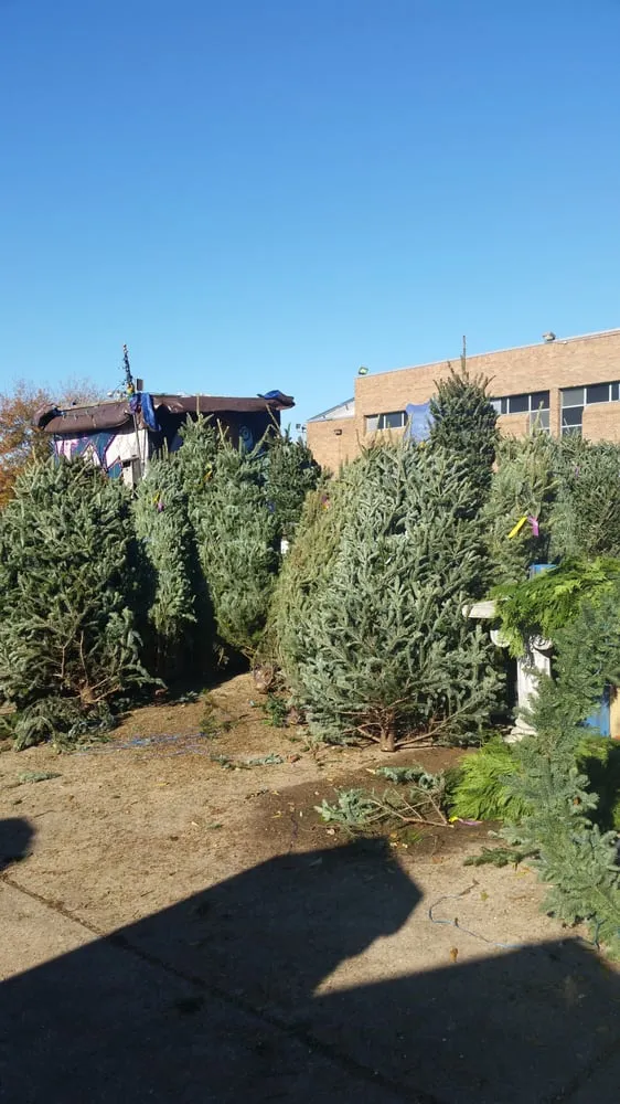 Professional lawn care service for residential properties in Washington DC, DC by Olde City Garden