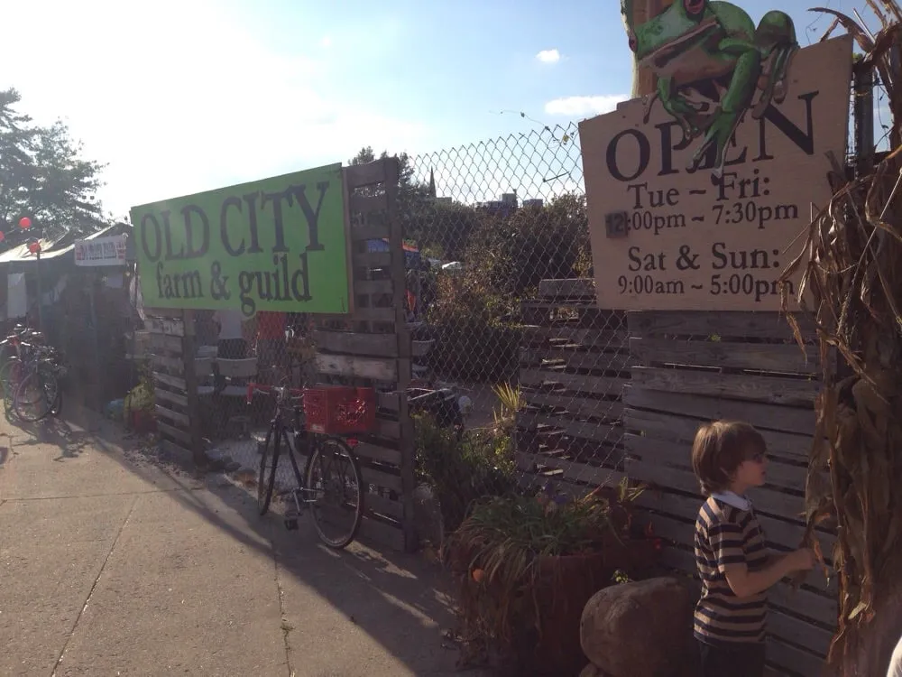 Local garden landscaping experts serving Washington DC, DC - Olde City Garden