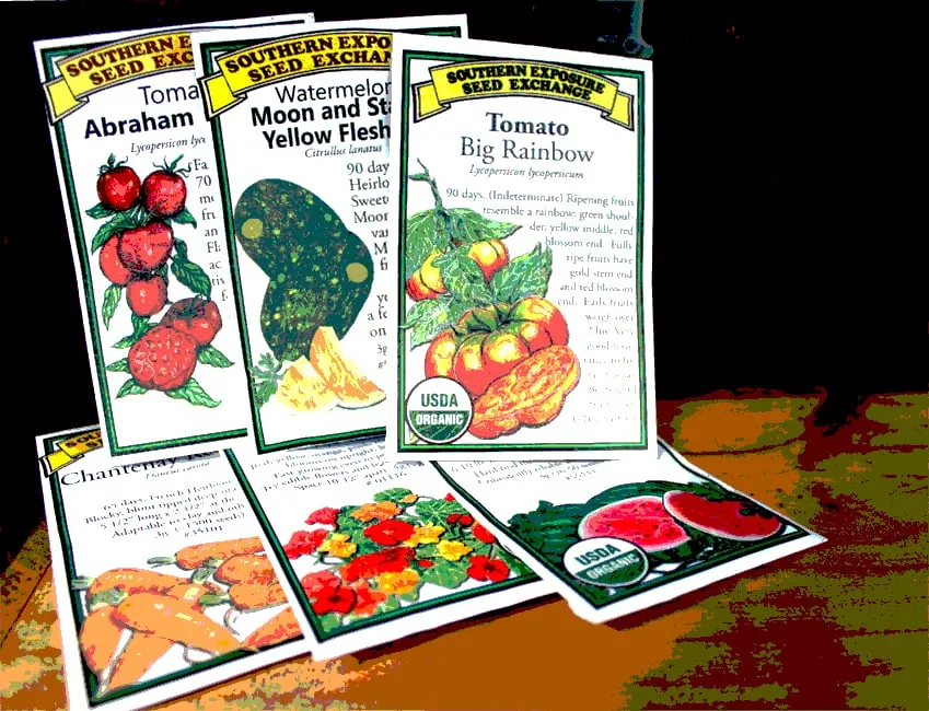 Trusted lawn care service near you in Washington DC, DC by Olde City Garden