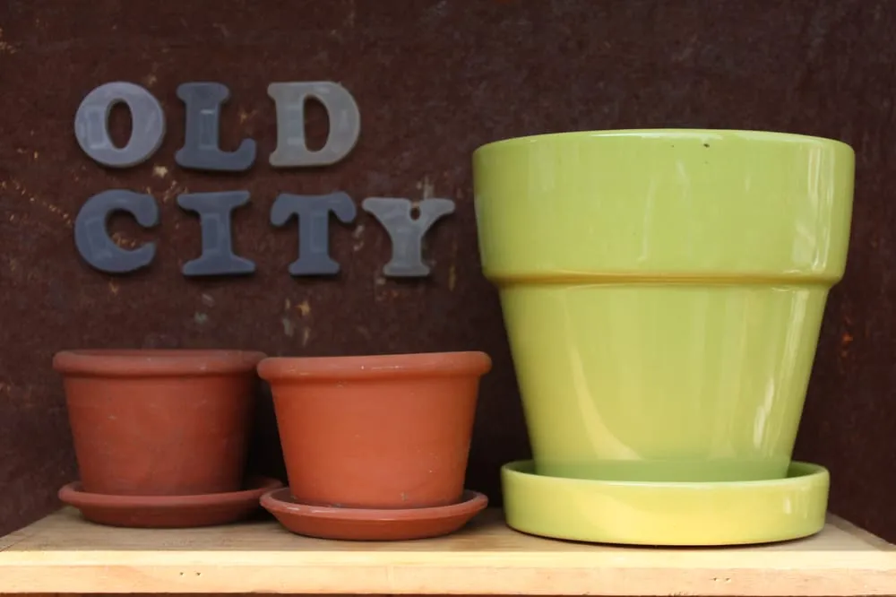 Custom lawn care service experts serving Washington DC, DC - Olde City Garden