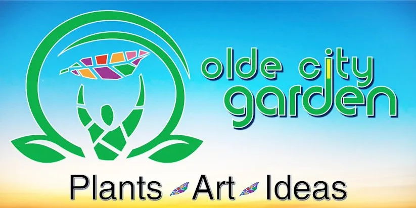 Custom lawn mowing service for residential properties in Washington DC, DC by Olde City Garden