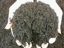 Expert yard cleanup service for beautiful yards across Pooler, GA - Olde Savannah Garden