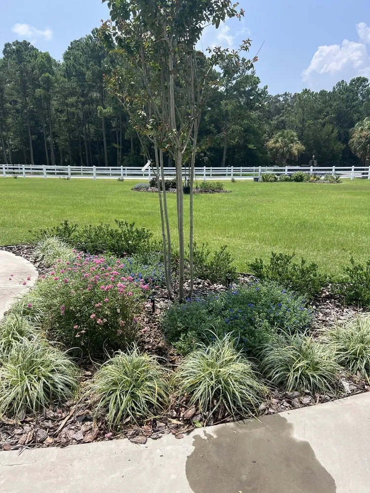 Professional landscape installation for residential properties in Pooler, GA by Olde Savannah Garden