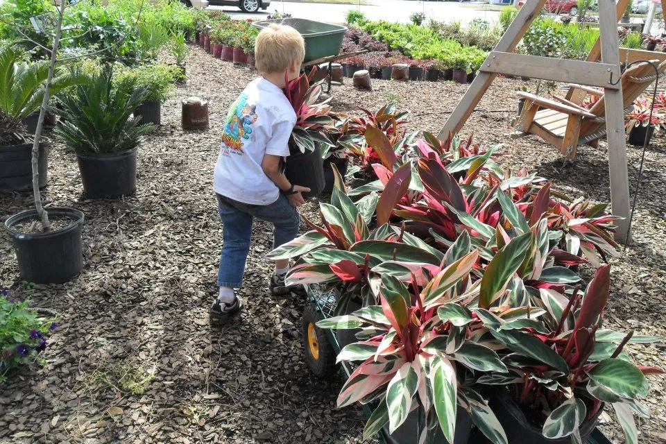 Local lawn care service for outdoor upgrades in Pooler, GA by Olde Savannah Garden