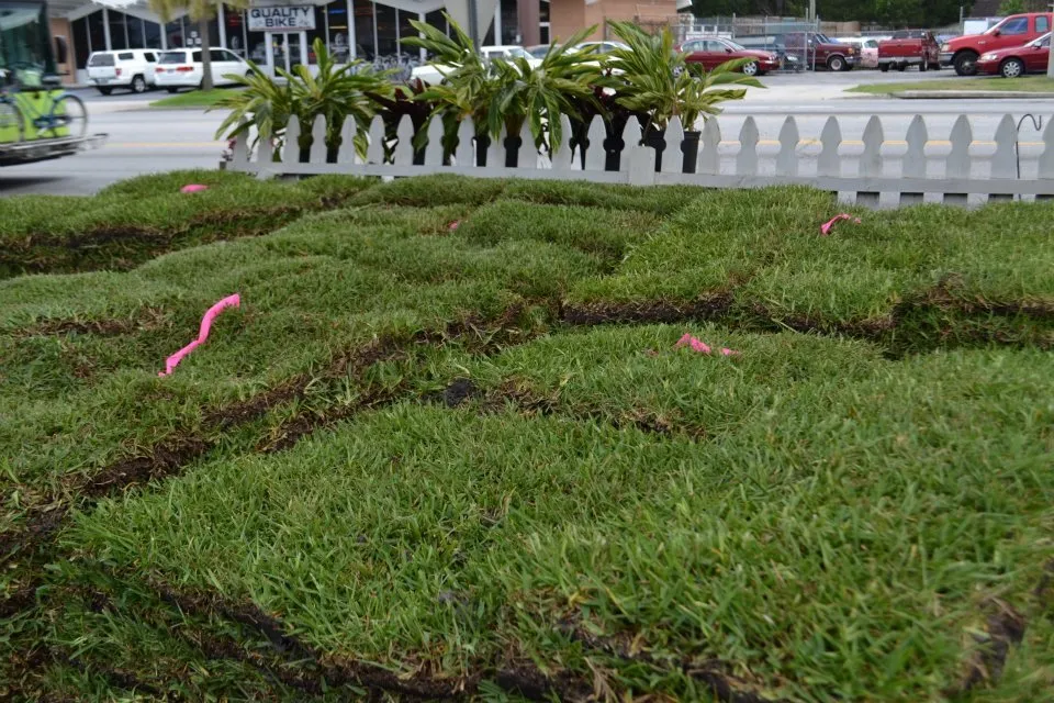 Trusted garden landscaping for homes in Pooler, GA by Olde Savannah Garden