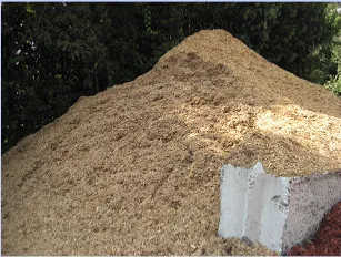 Expert outdoor landscaping in Pooler, GA by Olde Savannah Garden