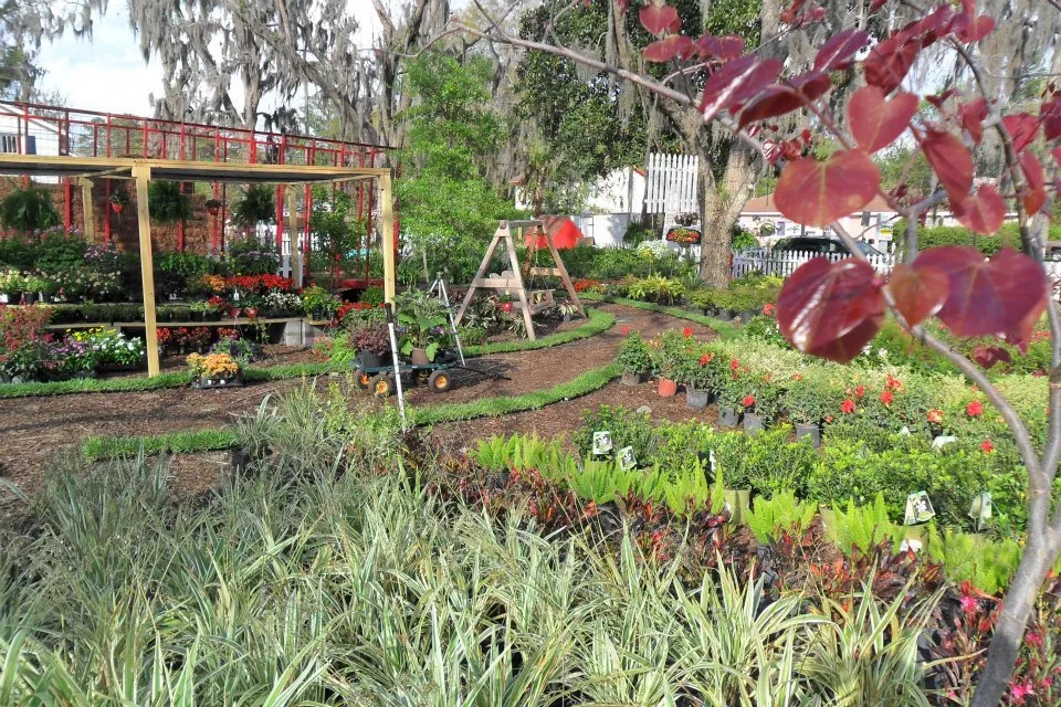 Trusted landscaping services in Pooler, GA - Olde Savannah Garden