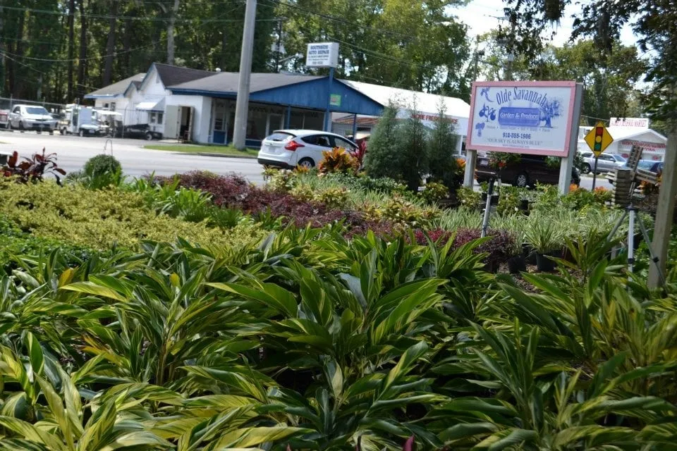 Local lawn mowing service for homes across Pooler, GA - Olde Savannah Gardens