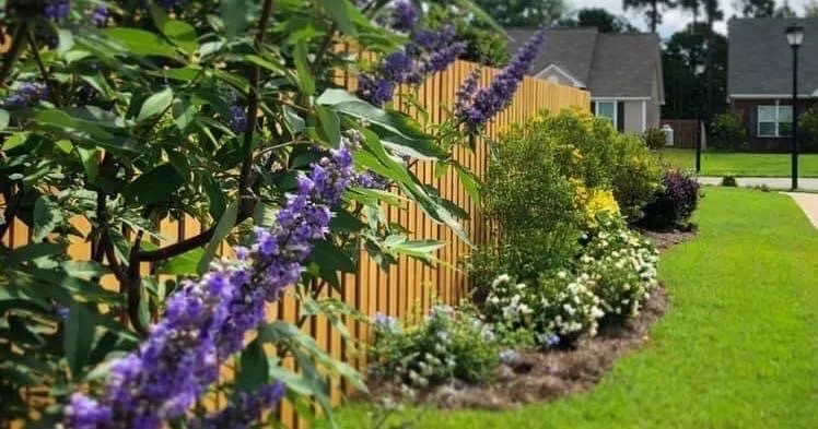 Custom landscape design experts serving Pooler, GA - Olde Savannah Gardens